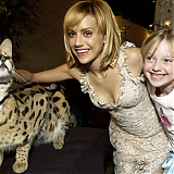 Filename=002.jpg
Filesize=594KiB
Dimensions=2048x1339
Date added=Jun 24, 2023 002.jpg