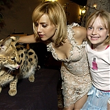Filename=004.jpg
Filesize=658KiB
Dimensions=2048x1524
Date added=Jun 24, 2023 004.jpg