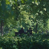 DBR117.jpg