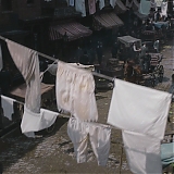 DFBR010.jpg