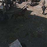 DFBR013.jpg