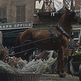 DFBR019.jpg
