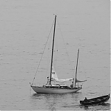 DFBR158.jpg