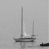 DFBR159.jpg