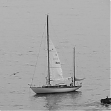 DFBR160.jpg