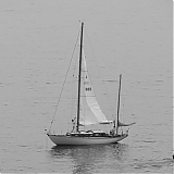 DFBR161.jpg