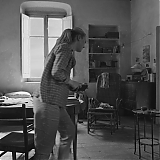 DFBR018.jpg