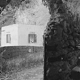 DFBR171.jpg