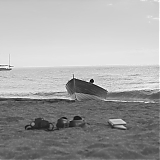 DFBR029.jpg